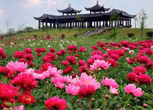 五一小長(zhǎng)假 大同市旅游開啟旺季模式