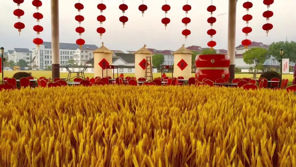 報告：做好五方面工作，發(fā)揮第三次分配對促進(jìn)共同富裕積極作用